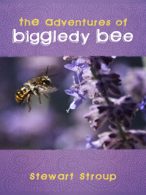 cover image of The Adventures of Biggledy Bee